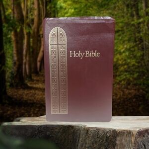Holy Bible KJV King James Version Reference Edition Red Regency T. Nelson